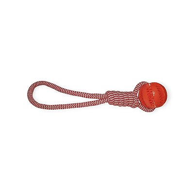 Mordedor Corda Bola Escova Dente