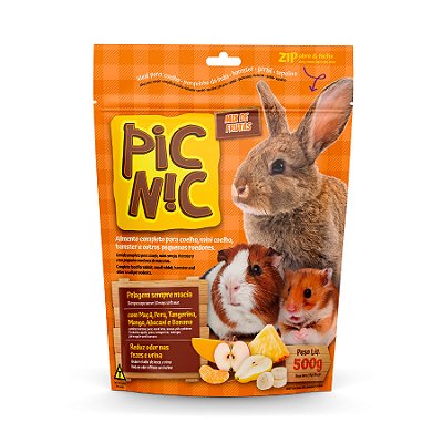 Ração Pic Nic para Roedores - Mix de Frutas 500g