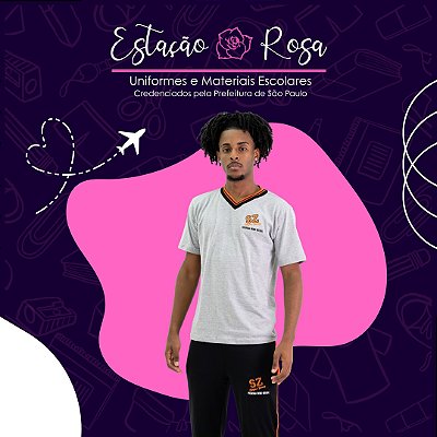 Camiseta Tradicional Cinza Escolar Stefan Zweig