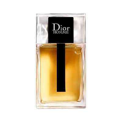 Dior Homme Eau de Toilette 100ml Masculino