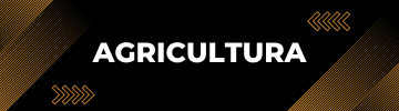 AGRICULTURA BRASIL