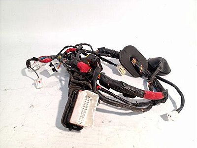 Chicote Porta Dianteira Esquerda Santa Fé 3.5 2010 2011 2012