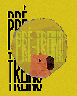 Pré-treino