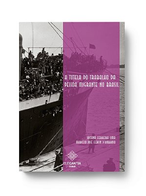 A TUTELA DO TRABALHO DA PESSOA MIGRANTE NO BRASIL