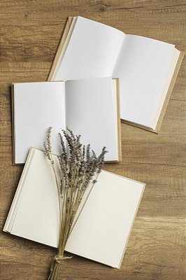 EDITORA ASSISTENTE PARA PERIÓDICOS CIENTÍFICOS