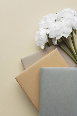 FORMATAÇÃO DE TRABALHOS ACADÊMICOS | NORMAS DA ABNT