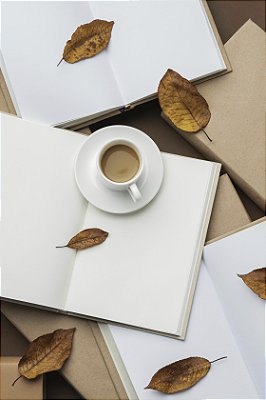 REVISÃO DE TEXTOS LITERÁRIOS E LEITURA CRÍTICA