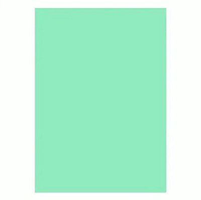 Eva Liso Verde Água 10 Folhas 40x60cm Futuro Fe052320