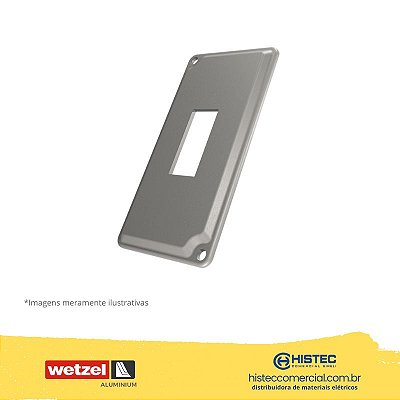 TAMPA INJETADA TPCA-12 COM PINTURA ALUMÍNIO 1" INTERRUPTOR VERTICAL E011000282 WETZEL