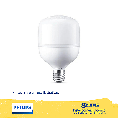 LÂMPADA PHILIPS LED bulbo T ALTA POTÊNCIA TF 24W 6500K 2800lms E27 BIVOLT