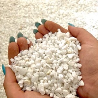 Pedrinhas Brancas para Vasos de Plantas 1kg