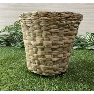 Kit com 10 Vaso Cachepot de palha de taboa cimbidio 20x20