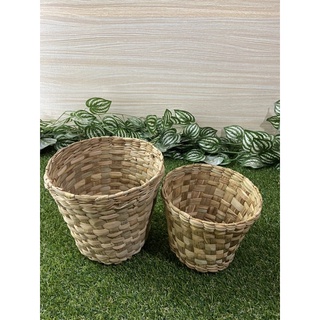 Kit com 2 Vaso de Planta Cimbidio P e M