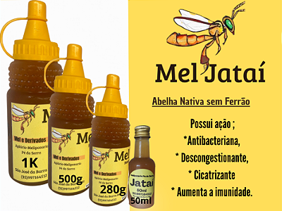 Mel jataí
