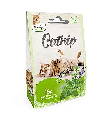 Catnip Natural Para Gatos - A Erva do Gato