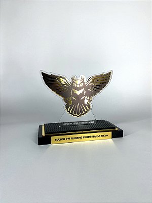 HOMENAGEM MILITAR INTELIGÊNCIA
