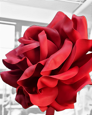 Rosa Gigante Perfeita | Vermelho e Dourado