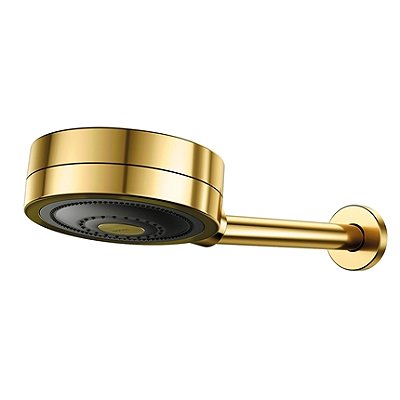Chuveiro Novo Technoshower Ouro Polido - 01204843 - Docol