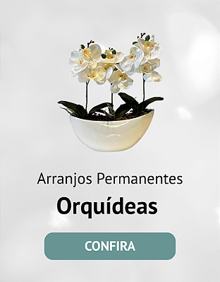 Orquideia