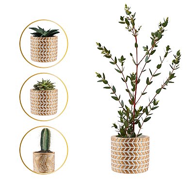 Vaso moderno Mesa Sala para Suculenta Plantinhas