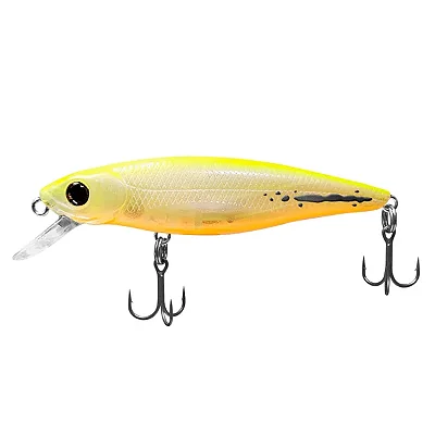 Isca Belly Dancer 88SP Deconto