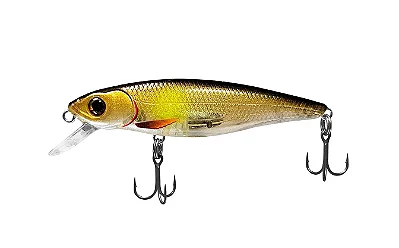 Isca Belly Dancer 66SF Deconto