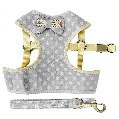 Peitoral e Guia - Lacinho