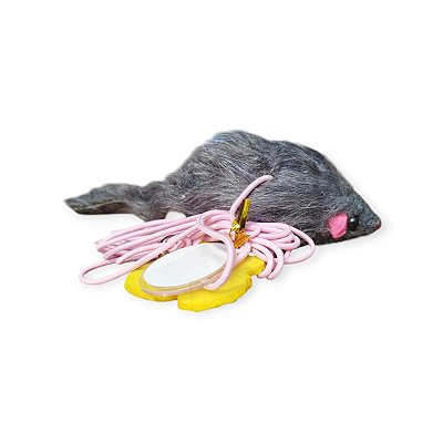 Ratinho com Elástico