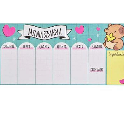 BLOCO PLANNER CAPIVARA 80FLHS