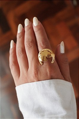 Anel Horse