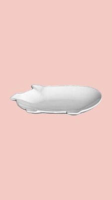 Travessa rasa pig