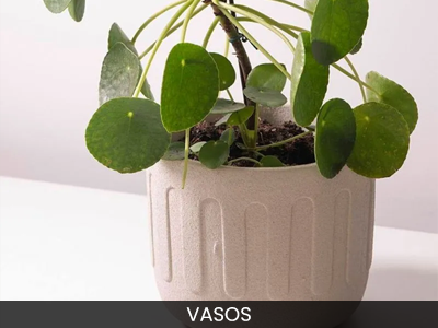 Vasos