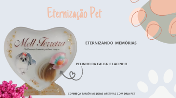 ETERNIZAÇÃO PET
