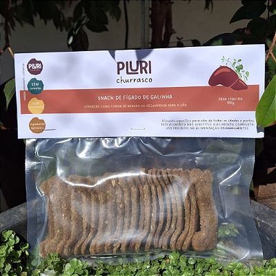 Pluri Churrasco