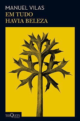 Em Tudo Havia Beleza