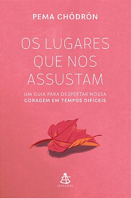 Os Lugares Que Nos Assustam Um Guia Para Despertar Nossa Coragem Em Tempos Difíceis