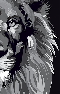 Bíblia Arc 860 Lion Colors - Black & White - Letra Normal Almeida Revista E Corrigida..-