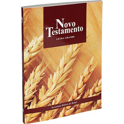 Bíblia Sagrada - Novo Testamento Letra Grande Nova Tradução Na Linguagem De Hoje (Ntlh)