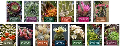 Enciclopédia De Suculentas & Cactos (Coleção - 13 Volumes)-..