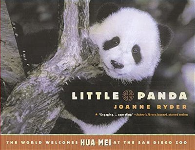 Little Panda-..