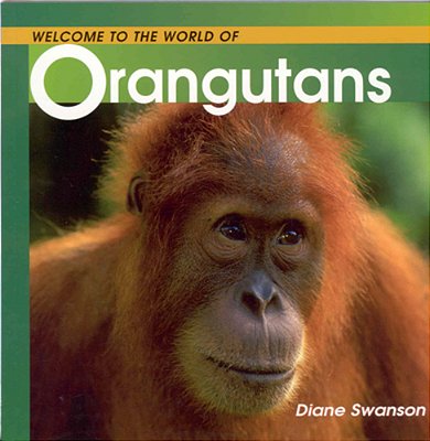 Orangutans (Welcome To The World)-..