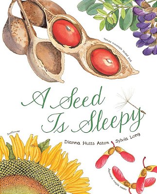 A Seed Is Sleepy - Paperback