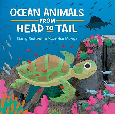 Ocean Animals From Head To Tail-..