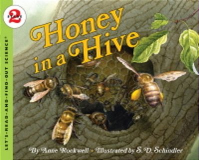 Honey In The Hive - Paperback-..