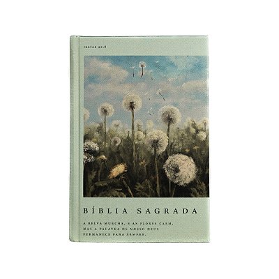 Bíblia Nvi Com Espaço Para Anotações, Letra Grande, Tecido, Dente-De-leão
