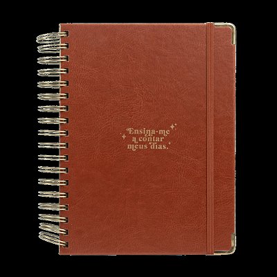 Meu Plano Perfeito, Capa Couro, Clássica | Planner 2024