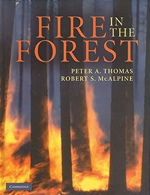 Fire In The Forest..-
