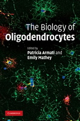 The Biology Of Oligodendrocytes..-