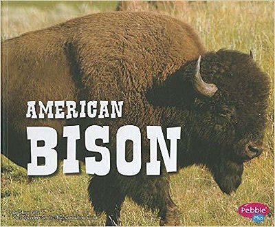 American Bison - North American Animals..-