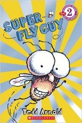 Super Fly Guy Level 2..-